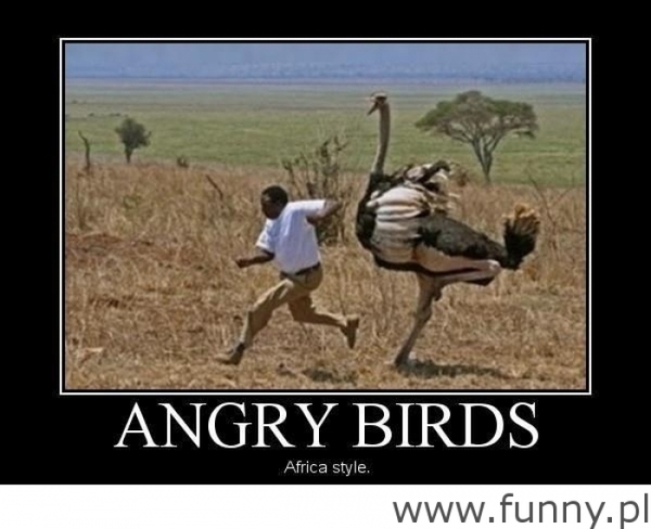 angry birds