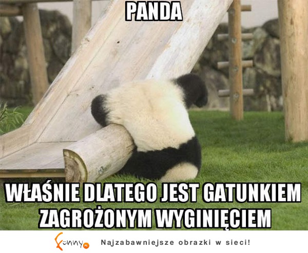 Wszystko jasne