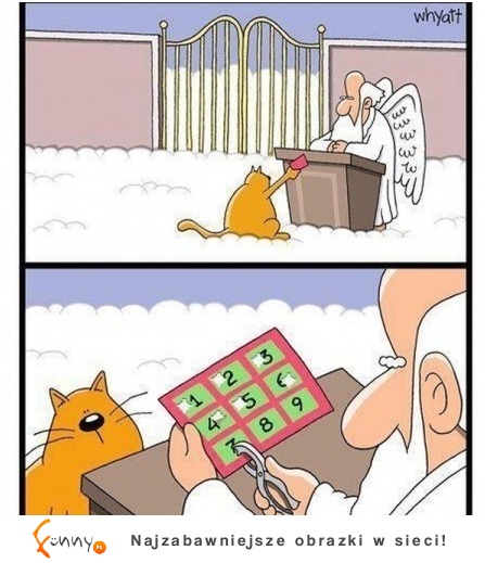 Koty rządzą się swoimi prawami :)