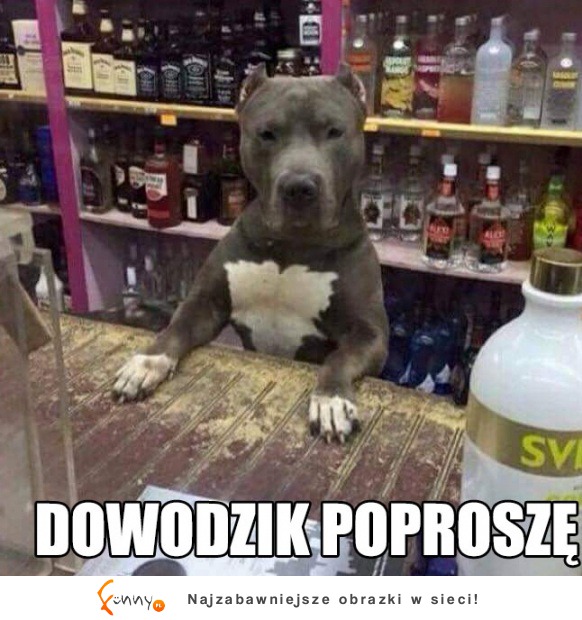 Dowód prosze