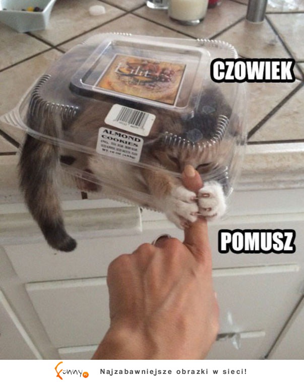 Czowiek pomusz