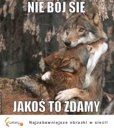 Nie bój się... jakoś to zdamy ;)