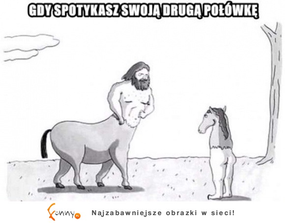 dwie połówki