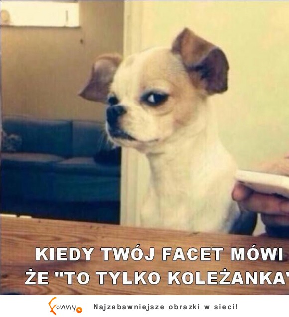 Twój facet