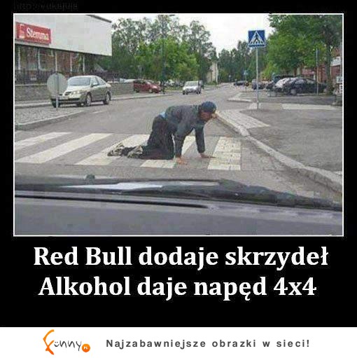 Red Bulll dodaje skrzydeł