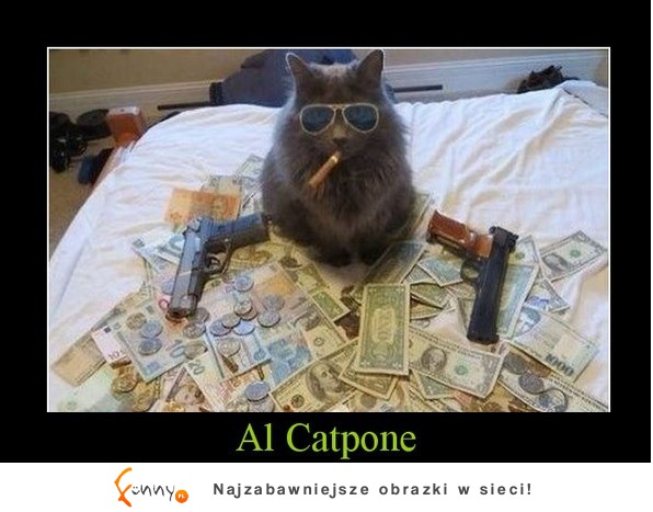 Al Catpone