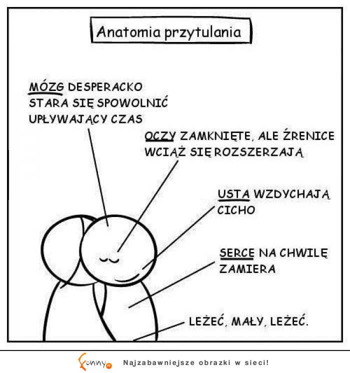 Anatomia przytulania :D