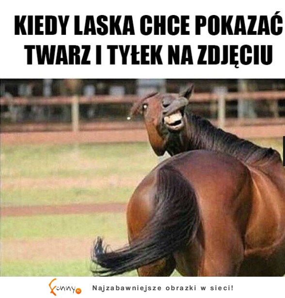 Kiedy laska chce pokazać twarz i tyłek na zdjęciu