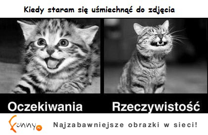 Oczekiwania vs. rzeczywistość! TOP 50 (!) ZDJĘĆ
