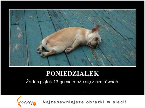 Witam PONIEDZIAŁKU