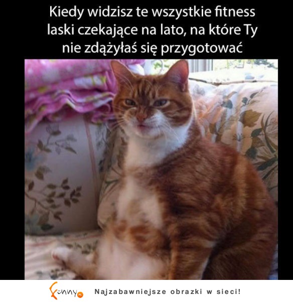 Kiedy je widzisz