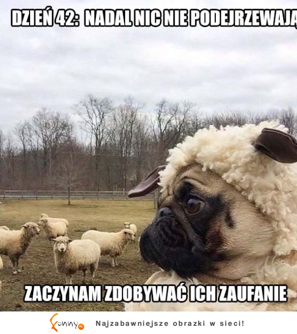 Nie wiedzą