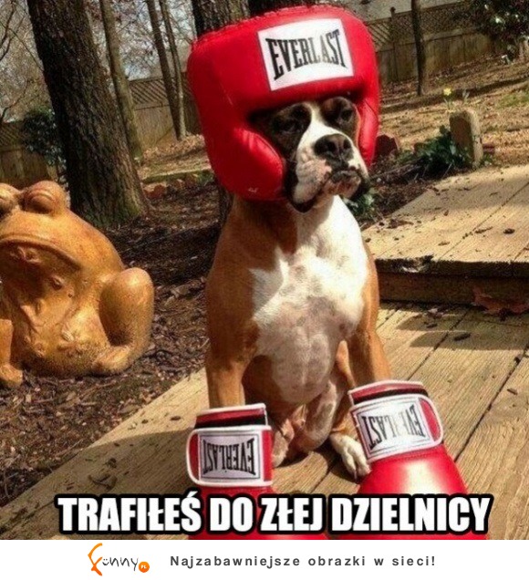 zła dzielnica