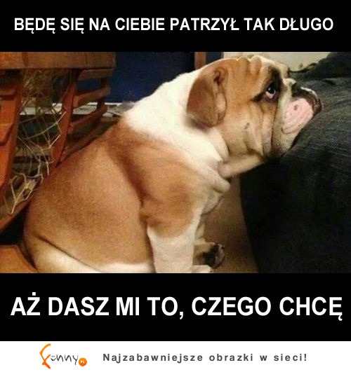 Daj mi to!