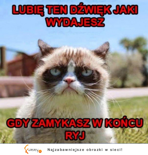 Świetny dzwięk