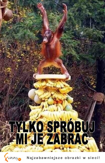 Tylko spróbuj