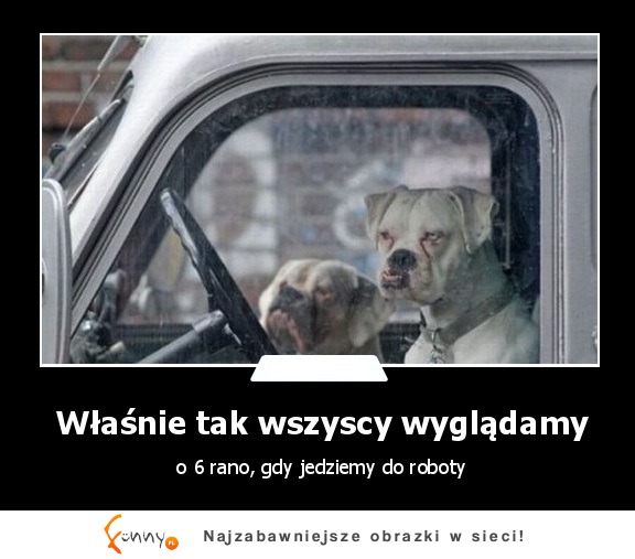 Właśnie tak wszyscy wyglądamy