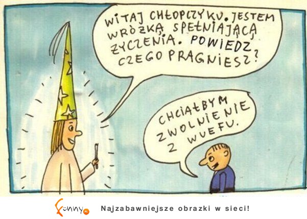 Jestem wróżką spełniającą życenia