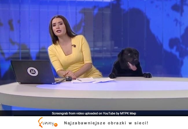 Śmieszne wpadki w telewizji na żywo Śmieszne wpadki w telewizji na żywo