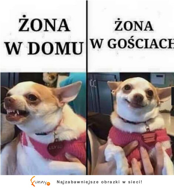 Dwie twarze żony XD