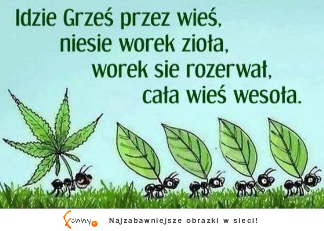 Idzie Grześ przez wieś