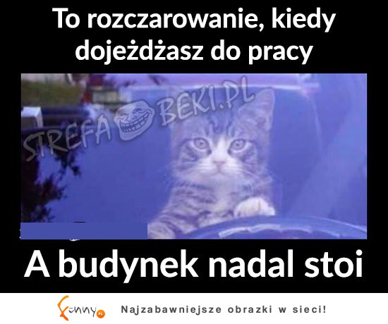 Nadal stoi ;(