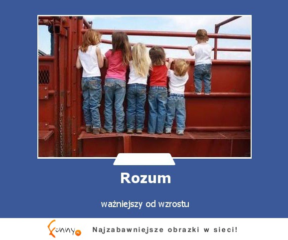 Rozum