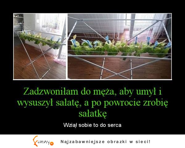 Wysusz sałatę