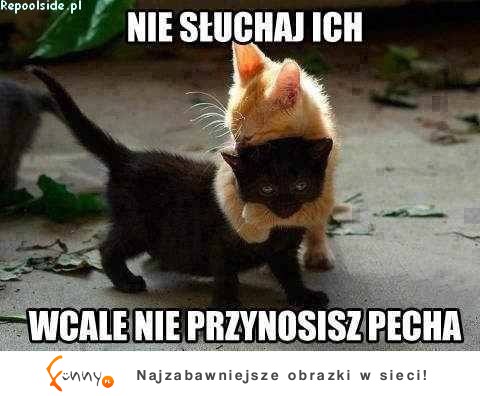 Nie słuchaj ich wcale nie przynosisz pecha :D