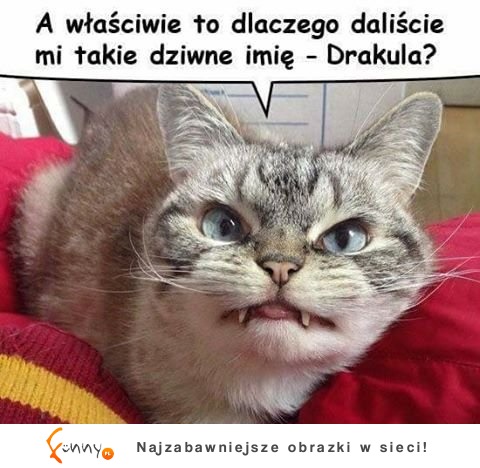 Dziwne imię