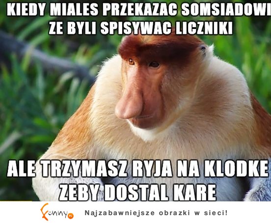 BĘDZIE MIAŁ ZA SWOJE!