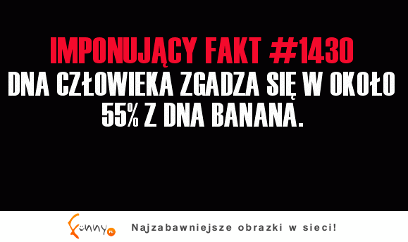 DNA człowieka zgadza się w 55% z DNA ... Wiesz czego? :D