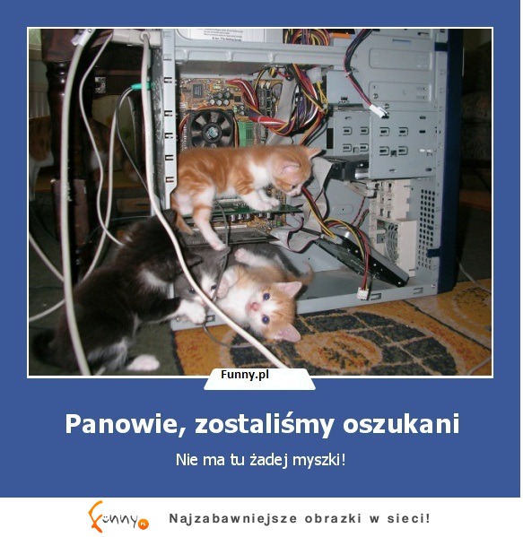 Panowie, zostaliśmy oszukani! :D