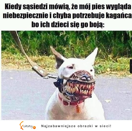 KUPIĘ MU TAKI XD