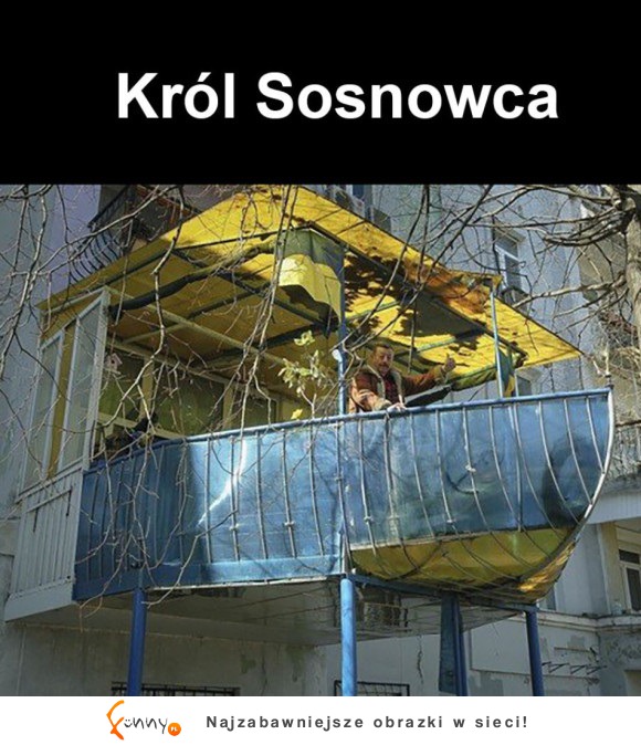 Król Sosnowca