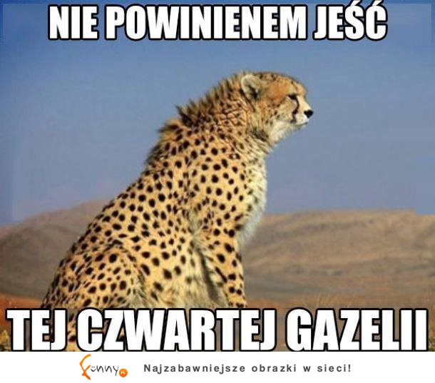 Nie powinien jesć, tej czwartej gazeli