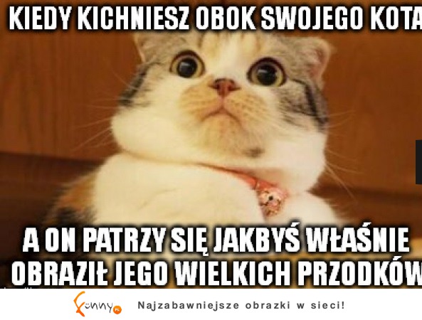 Tak patrzy