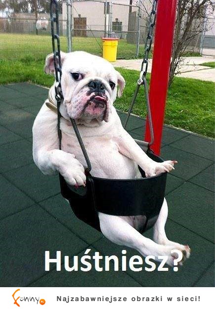 Hustniesz?