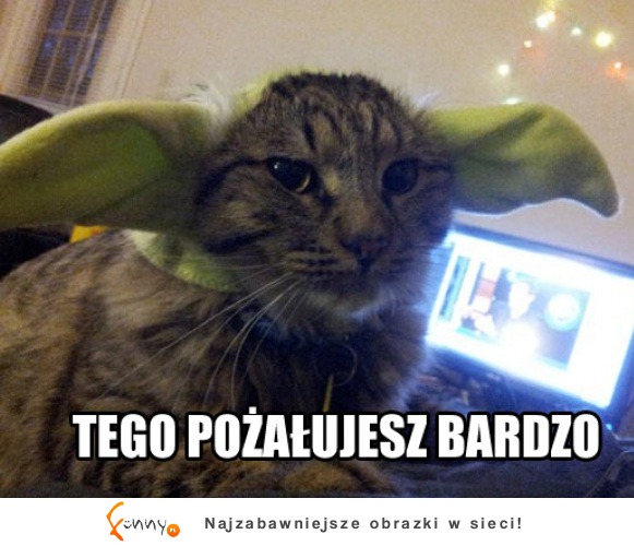 Yoda