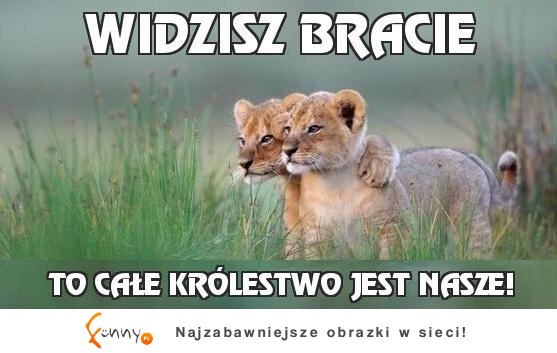 Widzisz bracie :D