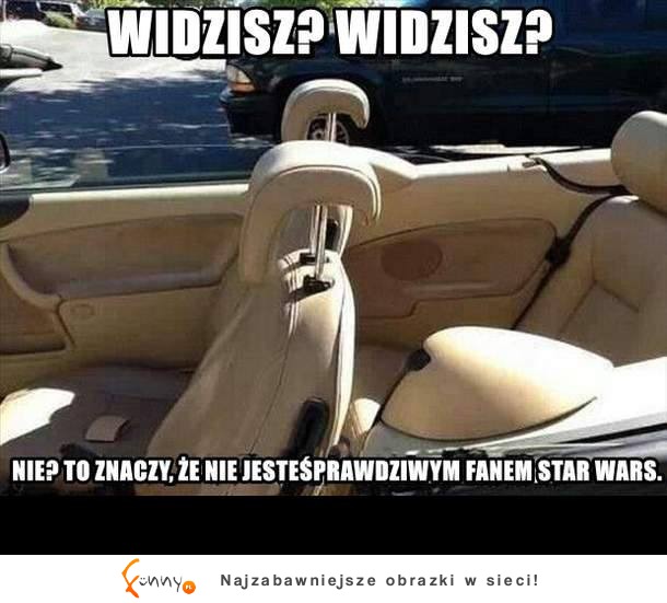 Widzisz