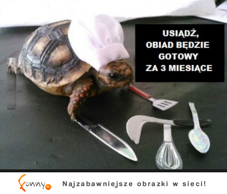 Obiad będzie gotowy za 3 miesiące