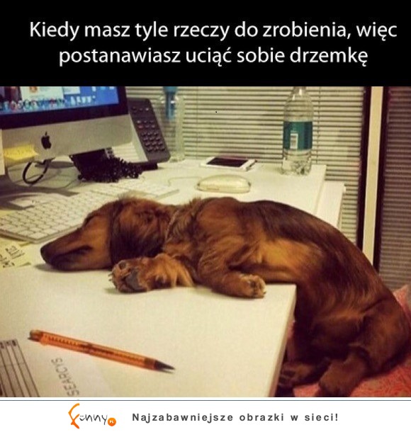 tyle rzeczy do zrobienia!