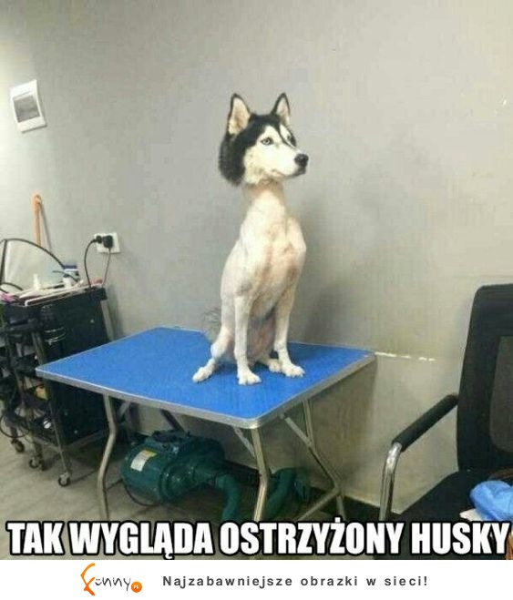 Popłakałem się XD