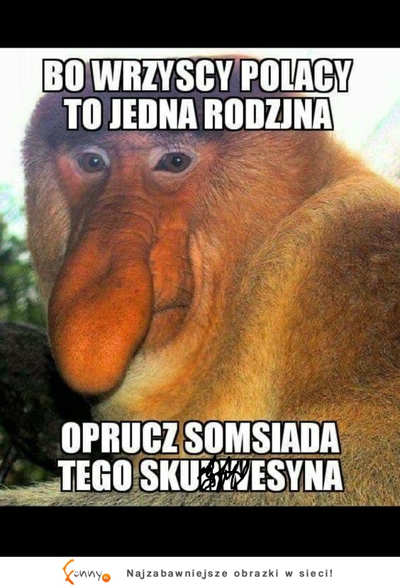 Bo wszyscy Polacy to jedna rodzina, oprócz XD