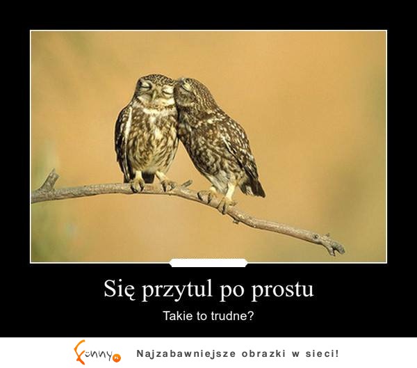 Się przytul po prostu