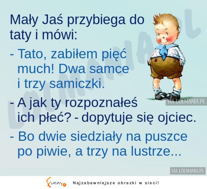 Jasio rozpoznal płeć much XD