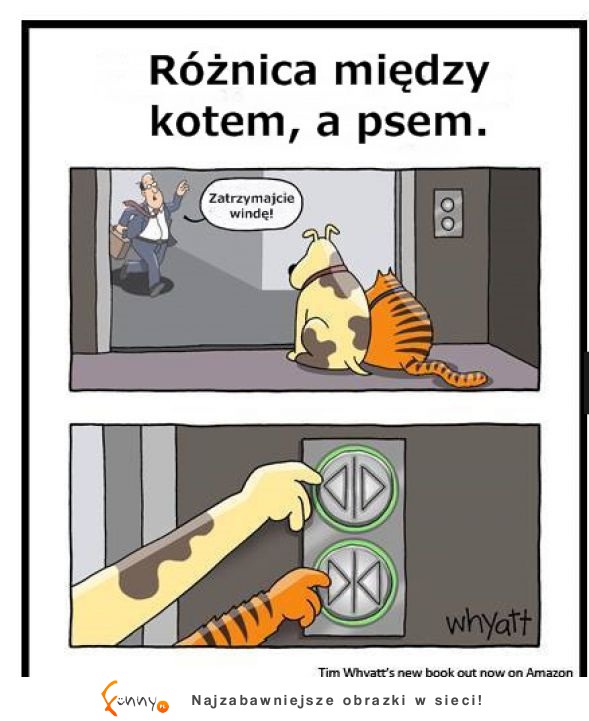 Różnica między psem, a kotem