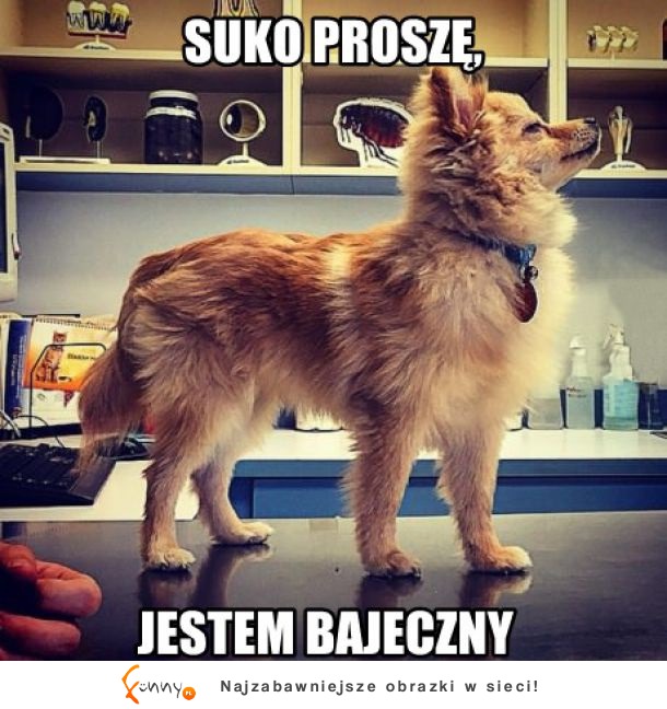 Jestem bajeczny