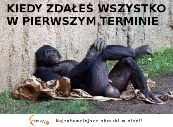 Zdałem!